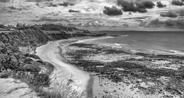 Pipa plajı, tek renkli yaklaşım, yüksek perspektiften çekilmiş. Rio Grande do norte, Brezilya.