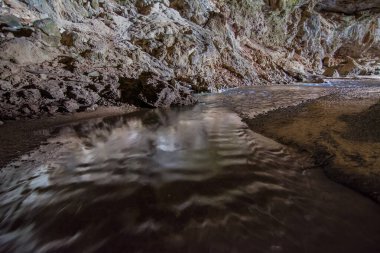 Brezilya 'nın Goias kentindeki mağaradan çıkan bir yeraltı nehri olan Terra Ronca Mağarası. Terra Ronca 'nın içi..