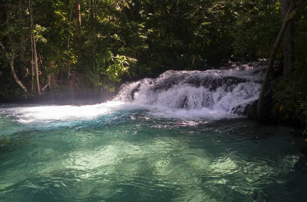 Rio Formiga Com Águas Cristalinas Turquesa Perfeito Para Nadar Uma — Fotografia de Stock