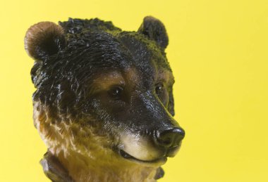 Bir kahverengi ayı portresi (ayı oyuncağı), sarı arkaplandan önce