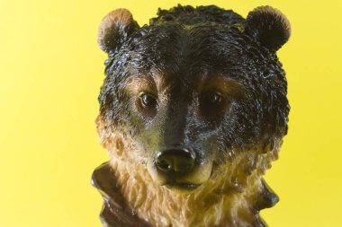 Bir kahverengi ayı portresi (ayı oyuncağı), sarı arkaplandan önce