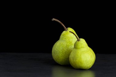 Genç aslan yavrusu gölgede uyuyor