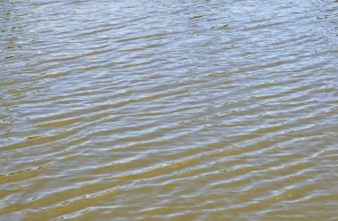 Bir göl üzerinde yumuşak yumuşak dalgalanmalar