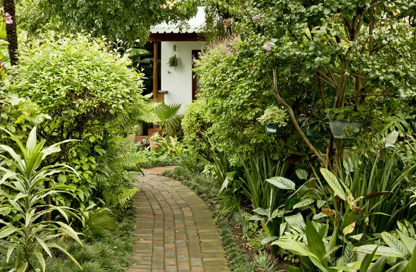 Schöner tropischer Garten und Haus — Stockfoto