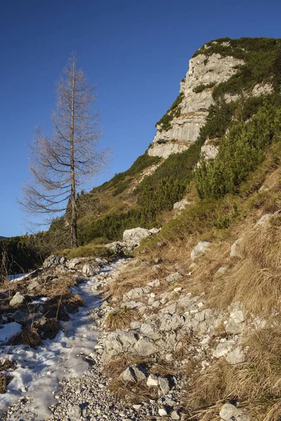 Sentier pédestre dans la chaîne de montagnes Komna, Alpes juliennes . — Photo