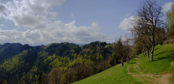 Wiosna w słoweńskim hills. — Zdjęcie stockowe