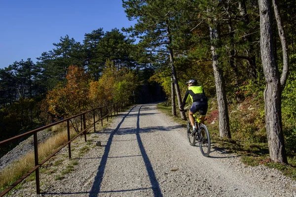 Val Rosandra หุบเขาใกล้ Trieste — ภาพถ่ายสต็อก