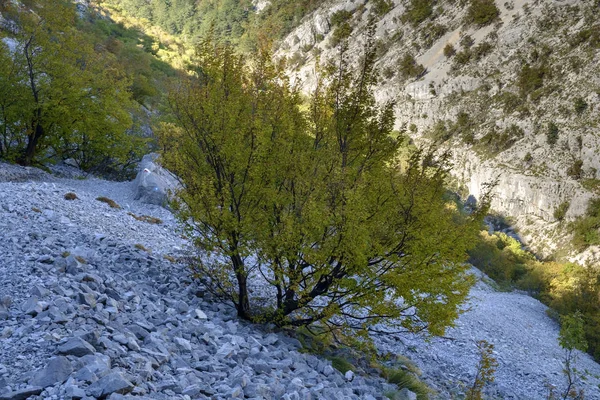 Val Rosandra Vadisi Trieste yakınındaki
