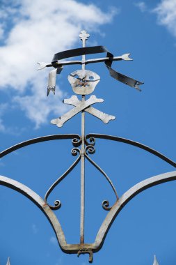 kafatası ve kemikler