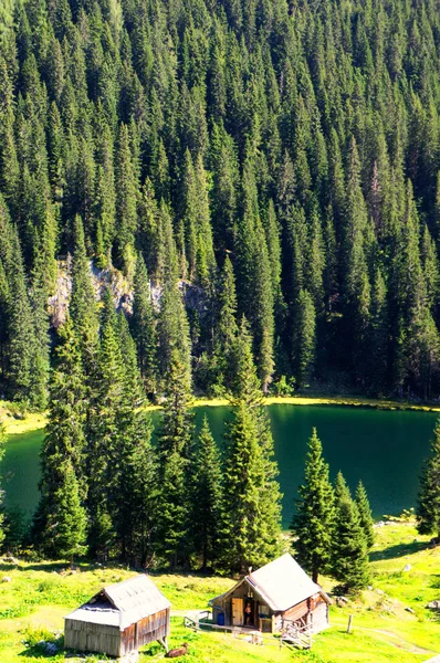 Mountain pasture Planina pri Jezeru — Zdjęcie stockowe
