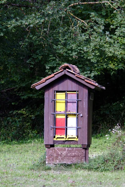 Sarang lebah tradisional slovenian — Stok Foto