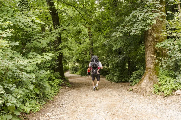 Smarna gora, Slovenya - 1 Temmuz 2017: yürüyüşçüler Smarna gora yolunu, Ljubljana üzerinden popüler bir zam