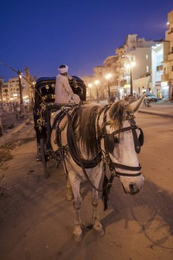 Luxor, Mısır - 18 Aralık 2006: fo bekliyor at arabası sürücüsü