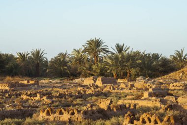 Dakhla oasis eski mezarlıkta.