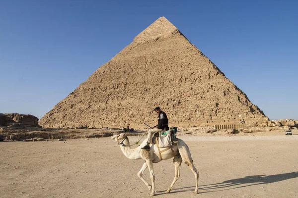 Giza, Káhira, Egypt - 23. prosince 2006: Policisté na velbloudy poblíž — Stock fotografie