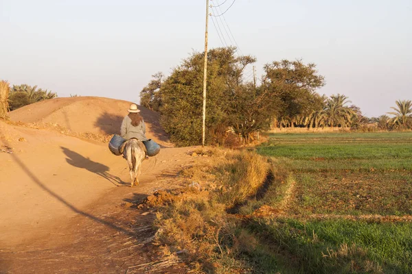 Dachla, Egypt - 25. prosince 2006: Farmář na koni Osla se f — Stock fotografie