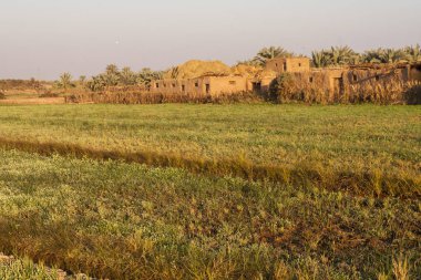 Fields at Dahla oasis, Egypt. clipart