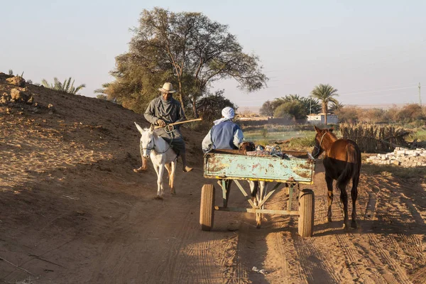 Dachla, Egypt - 25. prosince 2006: Zemědělci jít do polí. — Stock fotografie