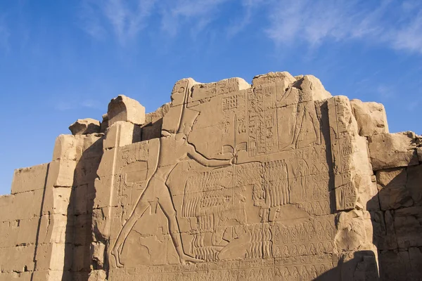 Řezba v Karnak temple, Egypt — Stock fotografie