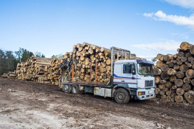 Ağaç günlükleri ile yüklenmesi için bekleyen bir boş günlük kamyon.