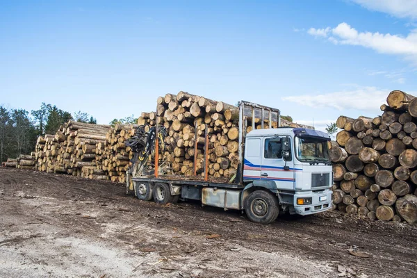 Ağaç günlükleri ile yüklenmesi için bekleyen bir boş günlük kamyon.