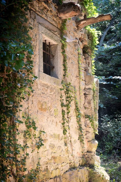 Overgrown wall of abandoned building. — Stock Photo, Image