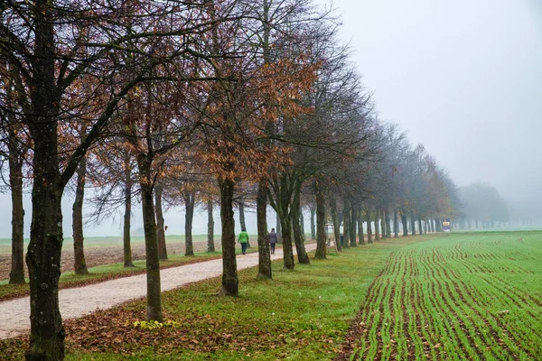 Golovec hill, Ljubljana yakınındaki anma ve arkadaşlık yolu