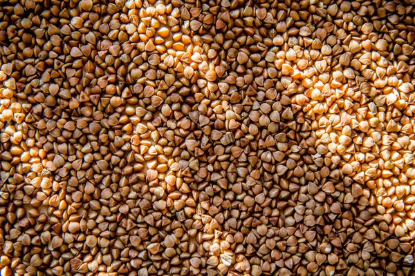 Çiğ karabuğday arka planında güneş ışığı