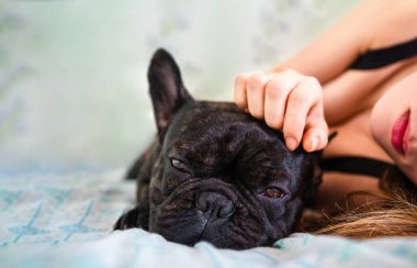 Güzel kız ve Fransız bulldog yatakta yatıyor.