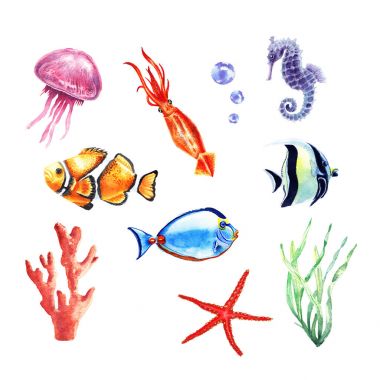 Suluboya balık seti