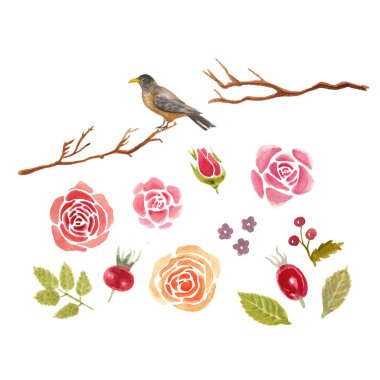 Suluboya bahar çiçek ayarla 