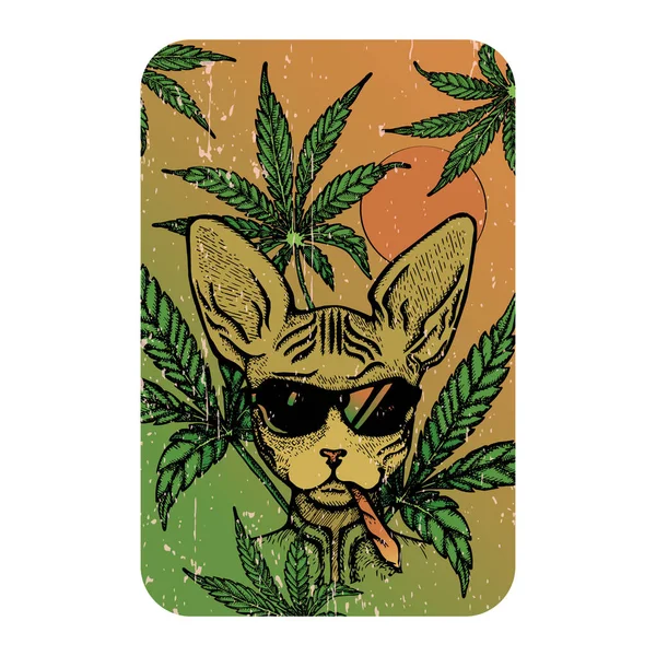 Cat Wearing Sunglasses Blunt Marijuana Leaves Background — Stock Vector