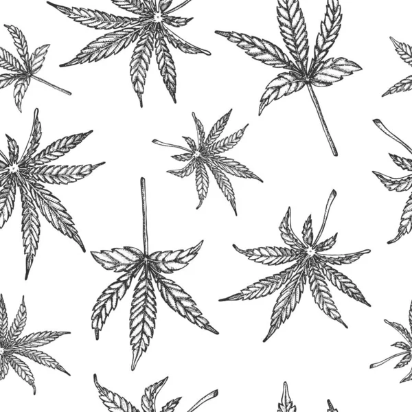 Fundo Vetor Sem Costura Com Folhas Cannabis — Vetor de Stock