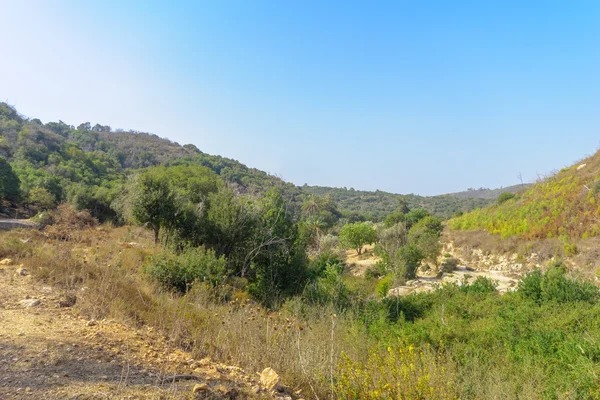 Paisaje en el Parque Nacional Monte Carmelo — Foto de Stock