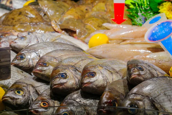 鱼在法国市场上出售 — 图库照片