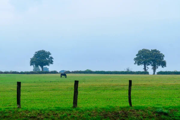 Landsbygden i Nievre — Stockfoto