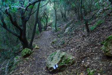 Wadi Siyahrud Hayfa'daki