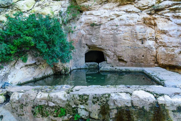 Piscine à Wadi Siah, Haïfa — Photo