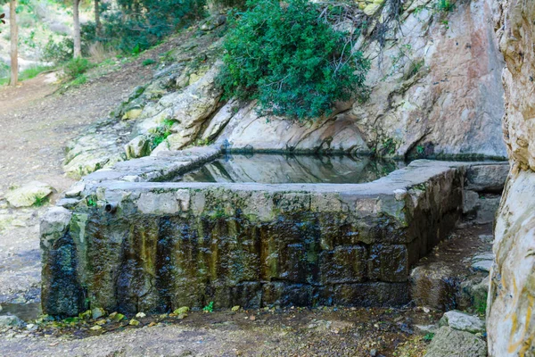Бассейн в Вади-Сиахе — стоковое фото