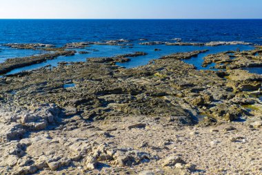 Shikmona beach, Hayfa'daki