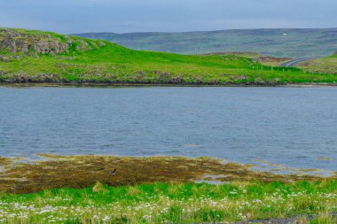 Kıyı şeridi ve peyzaj Steingrimsfjordur boyunca