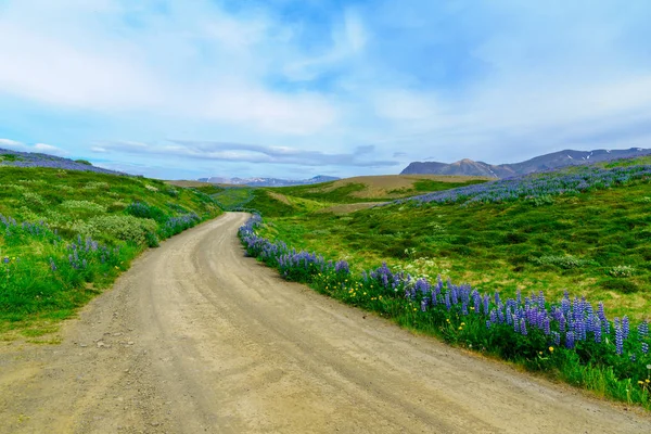 Paisagem na península de Vatnsnes — Fotografia de Stock