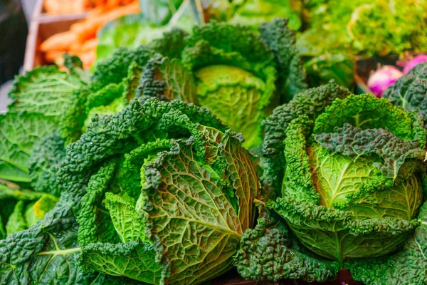 Fransız bir pazarda satışa lahana