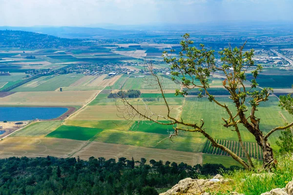 Jezréel völgye táj, nézett-ból Szakadék Mount — Stock Fotó