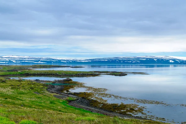 Campagna e paesaggio lungo il fiordo di Mjoifjordur — Foto Stock