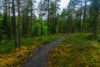 Oulanka Milli Parkı, Finlandiya