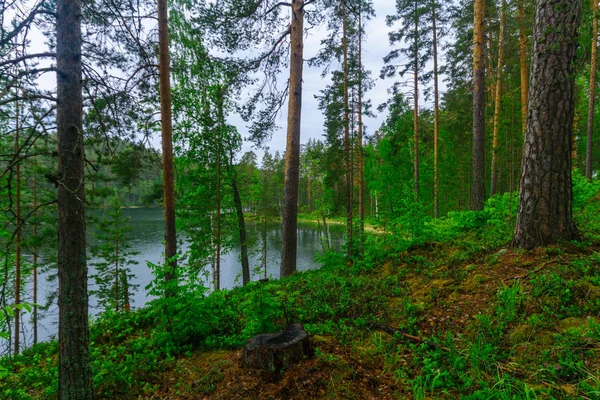 Krajina jezer a lesů na hřebeni Punkaharju — Stock fotografie