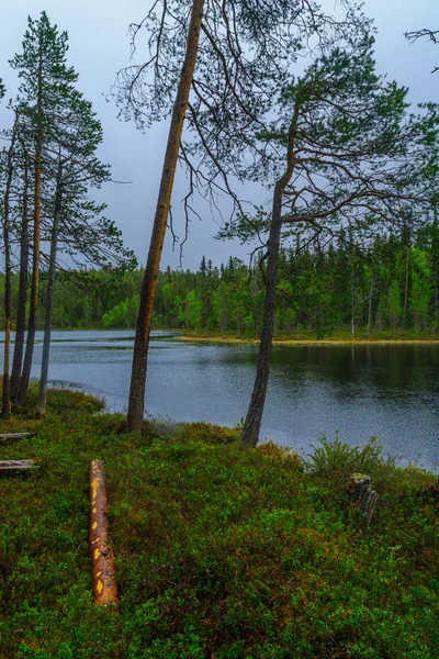 Oulanka Nationaal Park, Finland — Stockfoto