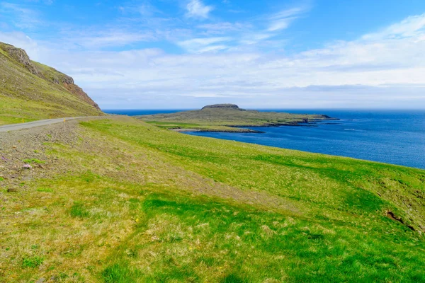 Linha costeira e paisagem nos fiordes orientais — Fotografia de Stock