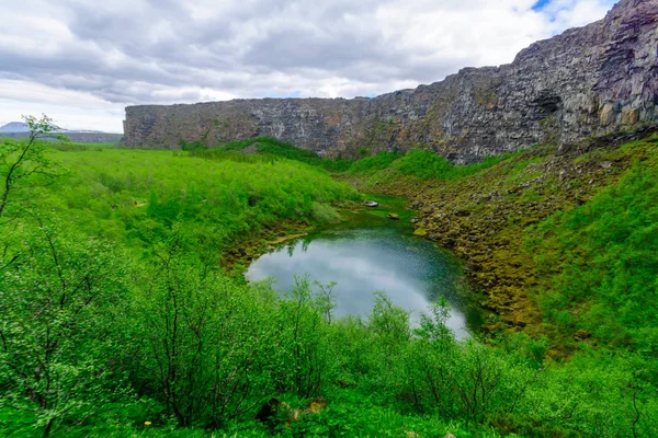 Asbyrgi Каньйон — стокове фото